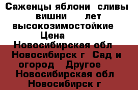 Саженцы яблони, сливы, вишни 2(3)лет высокозимостойкие › Цена ­ 250 - Новосибирская обл., Новосибирск г. Сад и огород » Другое   . Новосибирская обл.,Новосибирск г.